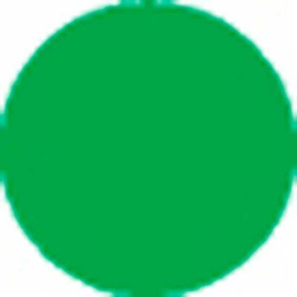 Springer Controls Co T.E.R., Green Button Insert, Use w/ MIKE & VICTOR Pendants PRTA096MPI